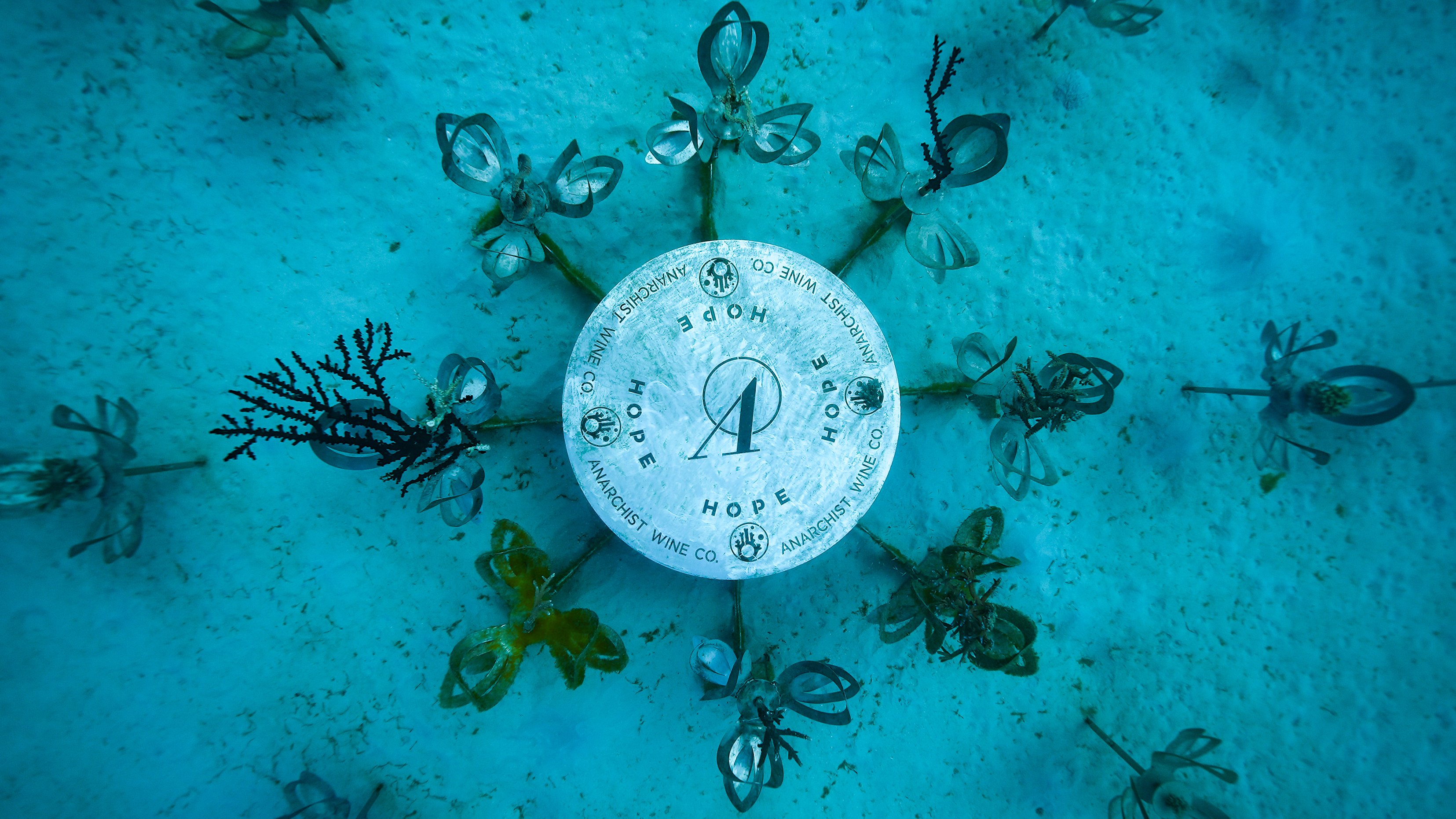 counting coral sculpture