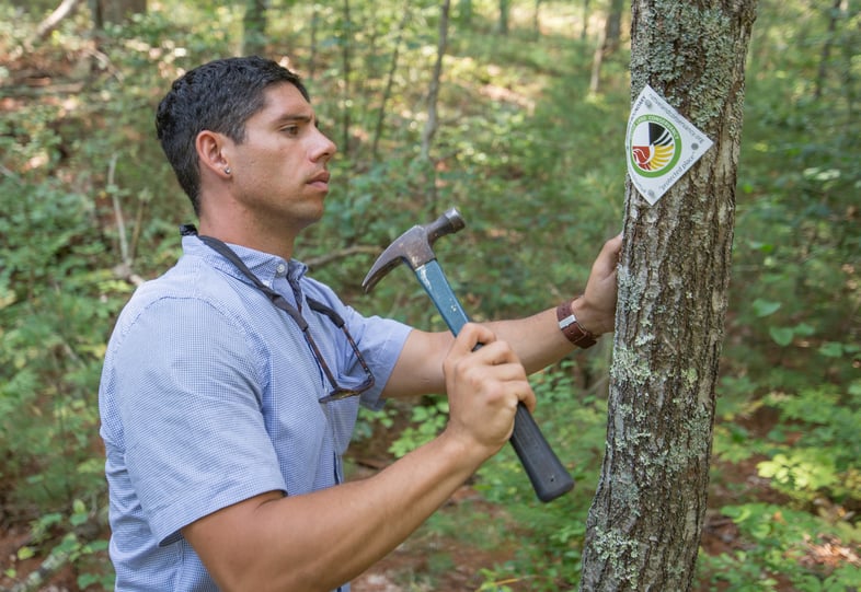 Native Land Conservancy by Barnstable Patriot